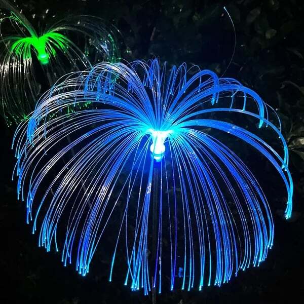 Enchanting Outdoor Ambience