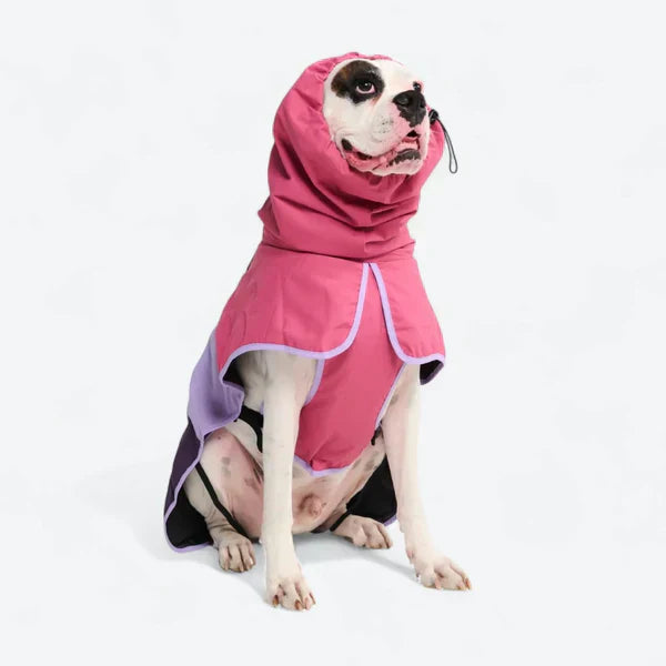 Wedgecar™ Dog Raincoats