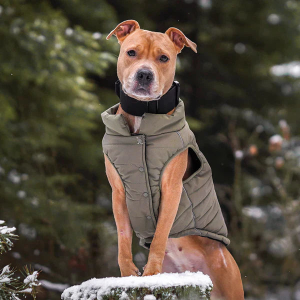 Warm Shield Water-Resistant Jackets