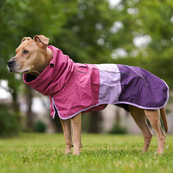 Wedgecar™ Dog Raincoats