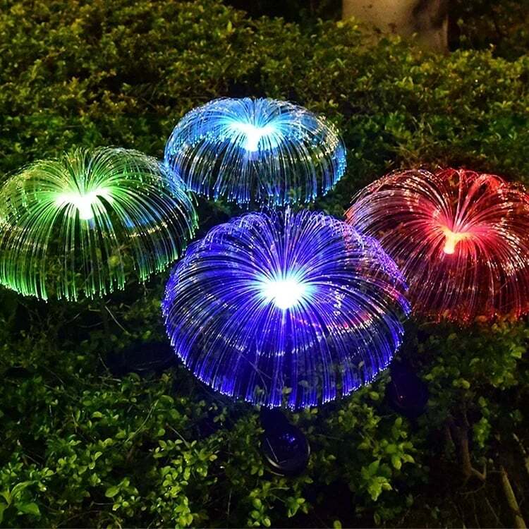 Enchanting Outdoor Ambience