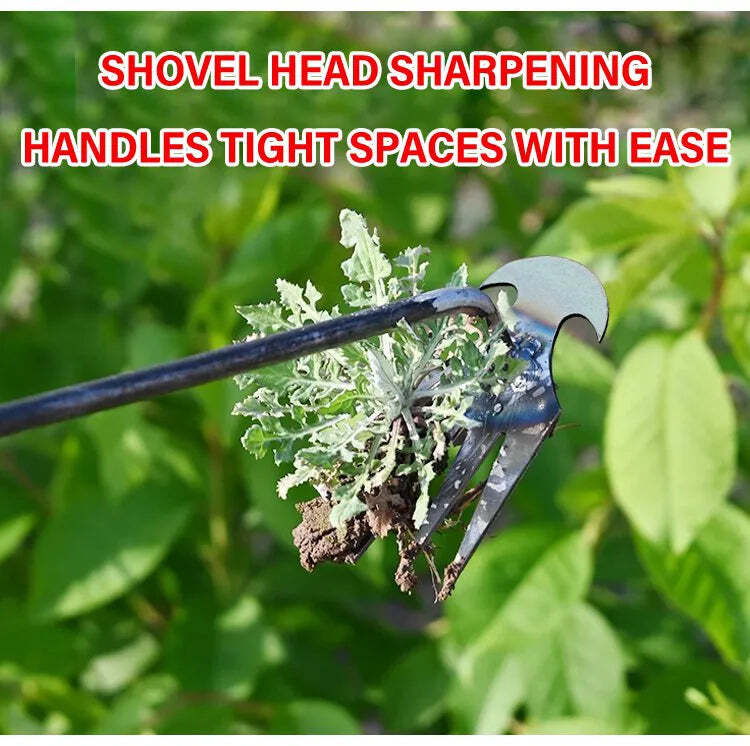 Your Ultimate Weeding Tool