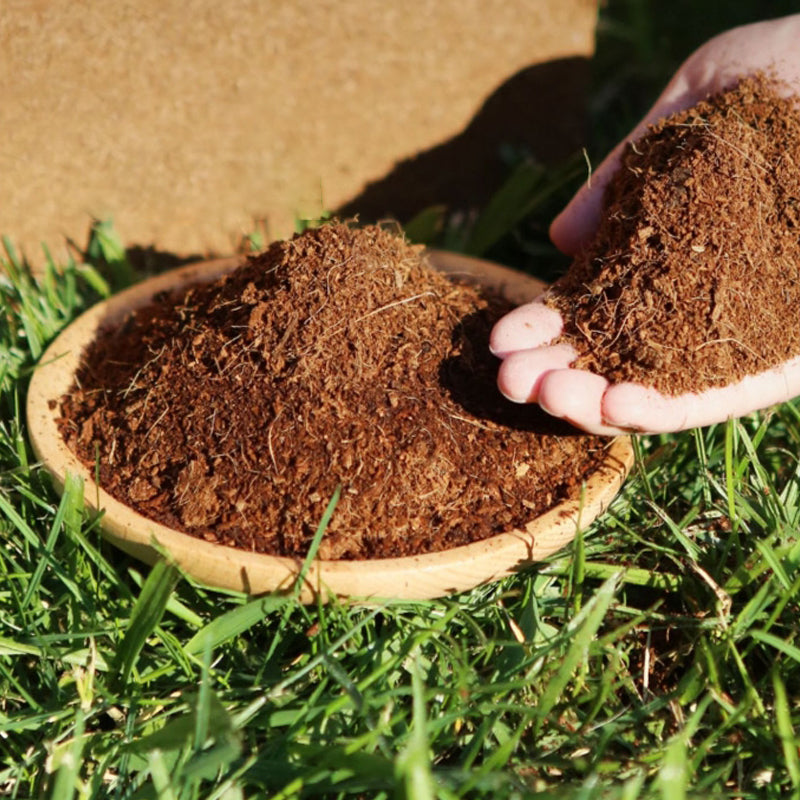 ⏳Limited-time 50% off⏰Organic Coconut Coir for Plants🌱