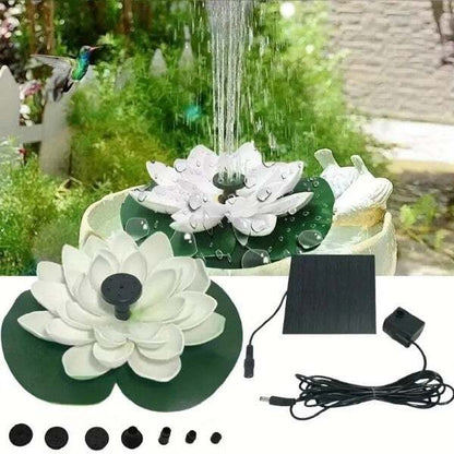 Harmonizing Lotus Stream